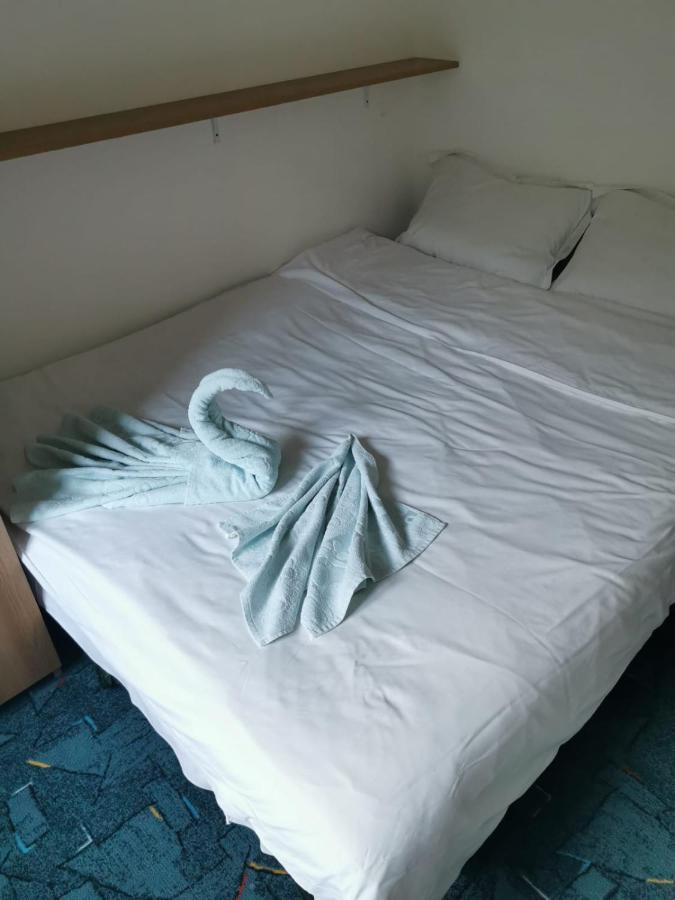 アズガApartament Langa Castanアパートメント エクステリア 写真