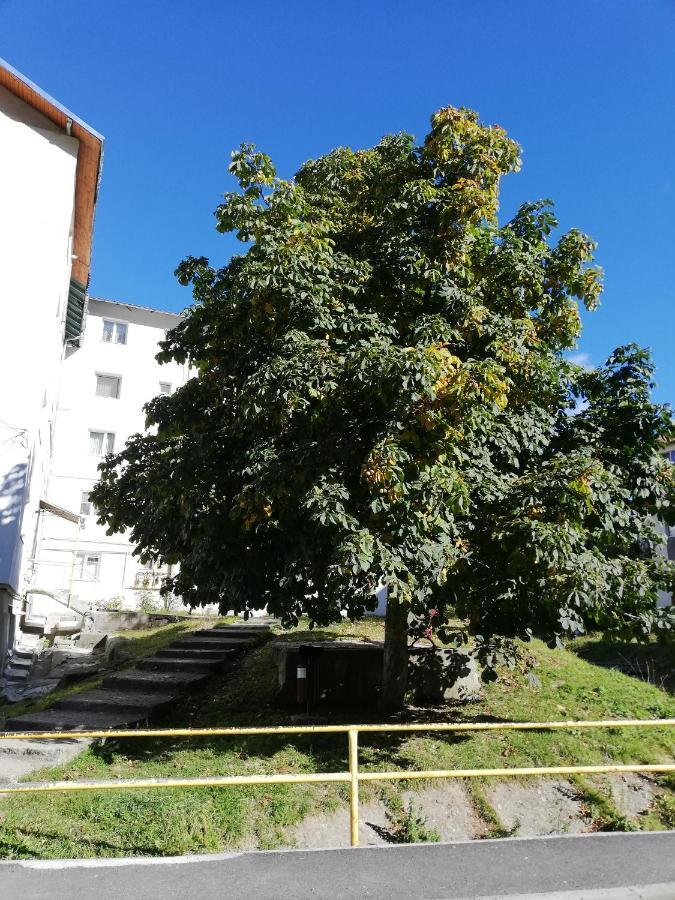 アズガApartament Langa Castanアパートメント エクステリア 写真