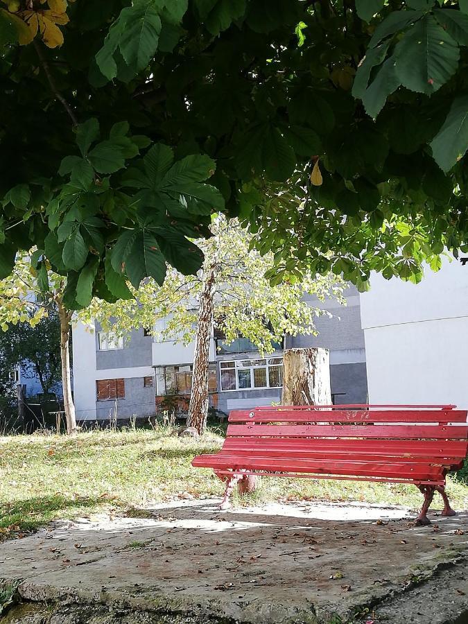 アズガApartament Langa Castanアパートメント エクステリア 写真